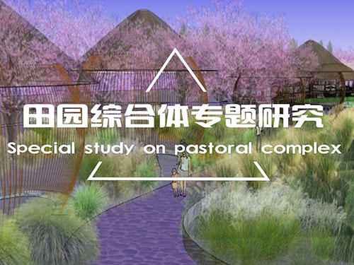 ÌïÔ°×ÛºÏÌåרÌâÑо¿ ÌïÔ°×ÛºÏÌåרÌâÑо¿